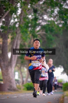 Runner Photo 4327061