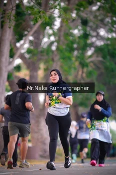 Runner Photo 4327118