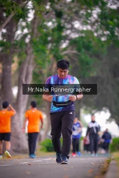 Runner Photo 4327131
