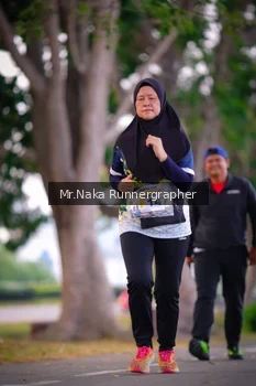 Runner Photo 4327142