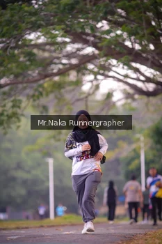 Runner Photo 4327188