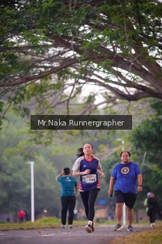 Runner Photo 4327215
