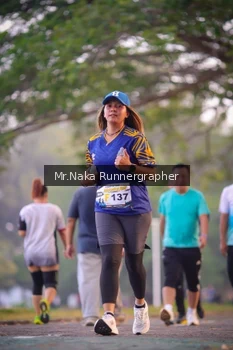 Runner Photo 4327291