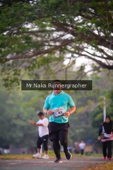 Runner Photo 4327304