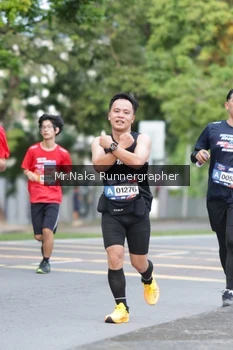 Runner Photo 43284
