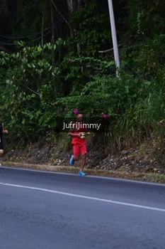 Runner Photo 4329392