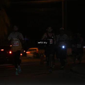 Runner Photo 4330466
