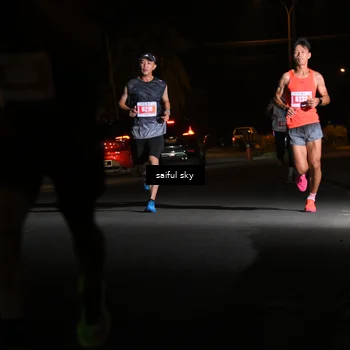Runner Photo 4330471