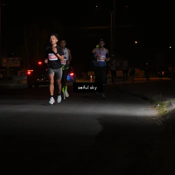 Runner Photo 4330474