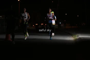 Runner Photo 4330476