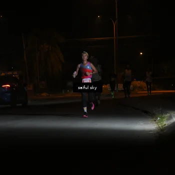 Runner Photo 4330483
