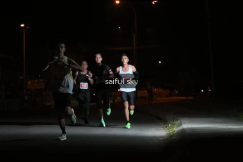 Runner Photo 4330496