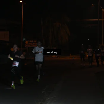 Runner Photo 4330508