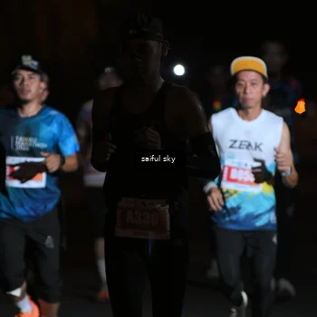 Runner Photo 4330569