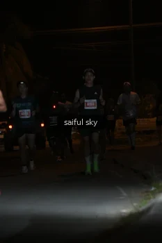 Runner Photo 4330605