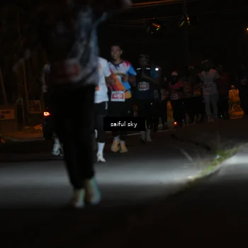 Runner Photo 4330650