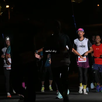 Runner Photo 4330659