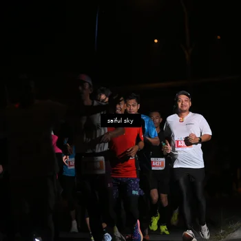 Runner Photo 4330662