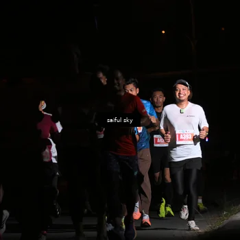 Runner Photo 4330663