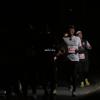 Runner Photo 4330664