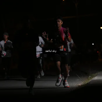 Runner Photo 4330670