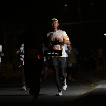 Runner Photo 4330672