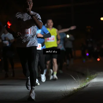 Runner Photo 4330673
