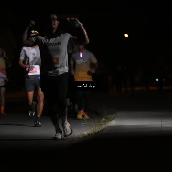 Runner Photo 4330676