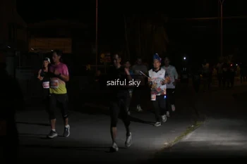 Runner Photo 4330696