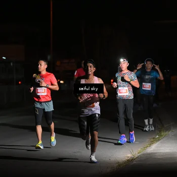 Runner Photo 4330708