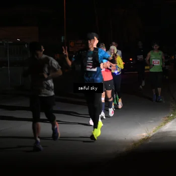 Runner Photo 4330726