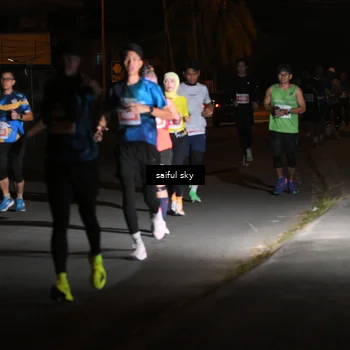 Runner Photo 4330727