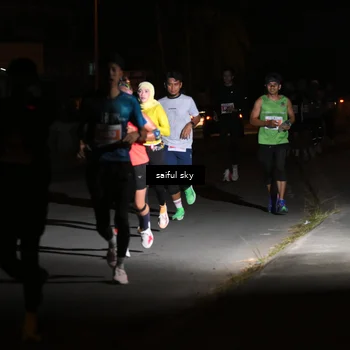 Runner Photo 4330728