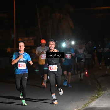 Runner Photo 4330746