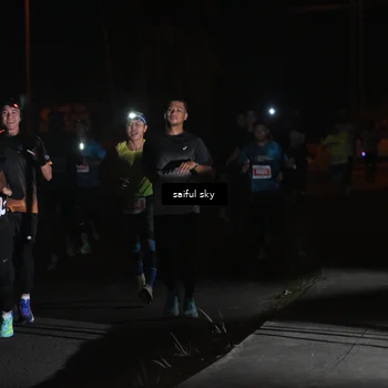 Runner Photo 4330760