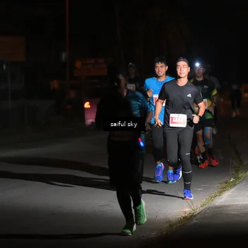 Runner Photo 4330766