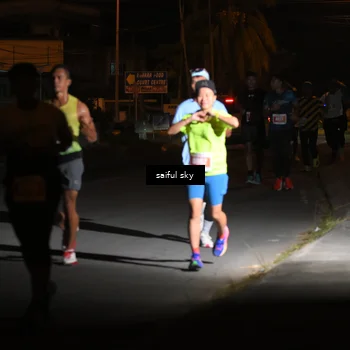 Runner Photo 4330773