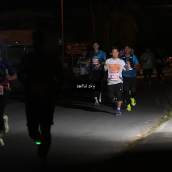 Runner Photo 4330779