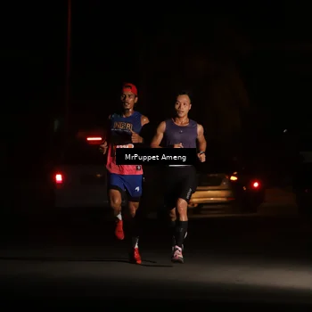 Runner Photo 4330782