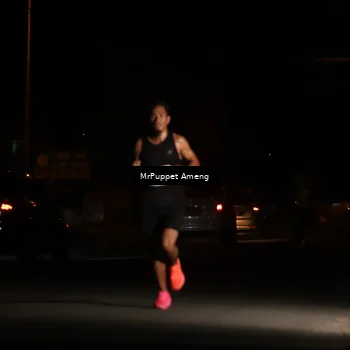 Runner Photo 4330784