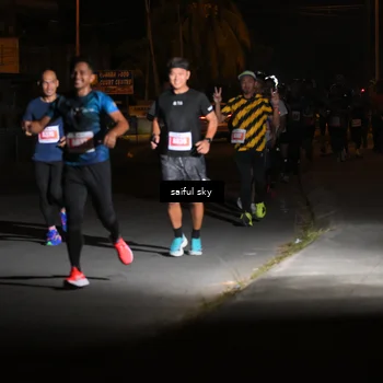 Runner Photo 4330790