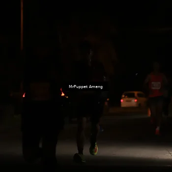 Runner Photo 4330802