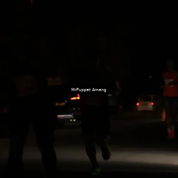 Runner Photo 4330803