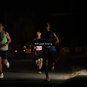 Runner Photo 4330804