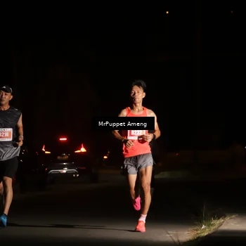 Runner Photo 4330808