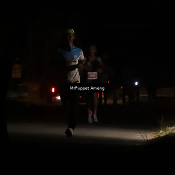 Runner Photo 4330811