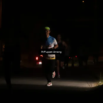 Runner Photo 4330812