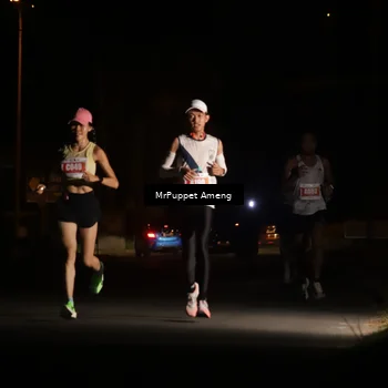 Runner Photo 4330813
