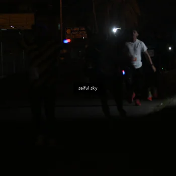Runner Photo 4330814