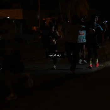 Runner Photo 4330815